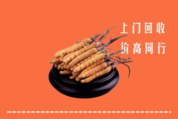 高价求购：黑河市回收散虫草