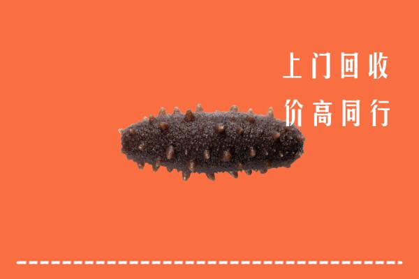 高价求购：黑河市回收海参