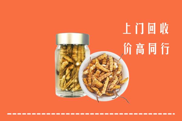 黑河市回收冬虫夏草